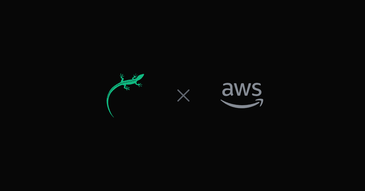 Lizard vs AWS — the Lizard logo beside the AWS logo