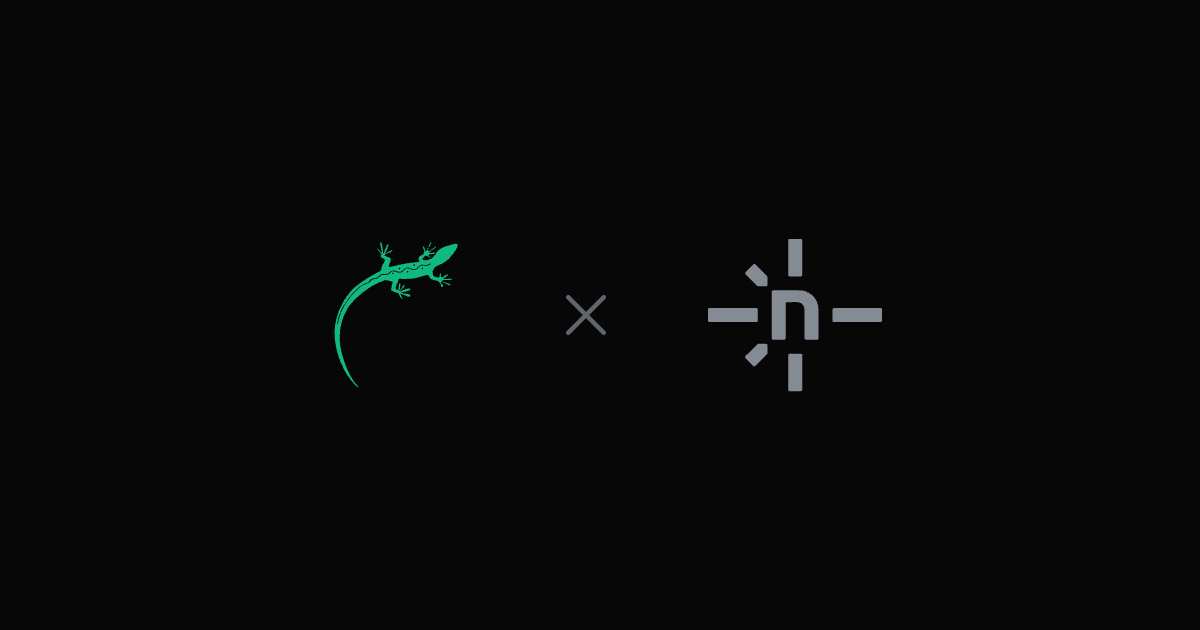 Lizard vs Netlify — the Lizard logo beside the Netlify logo